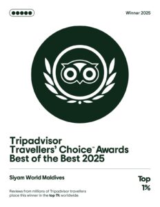 TA 2025