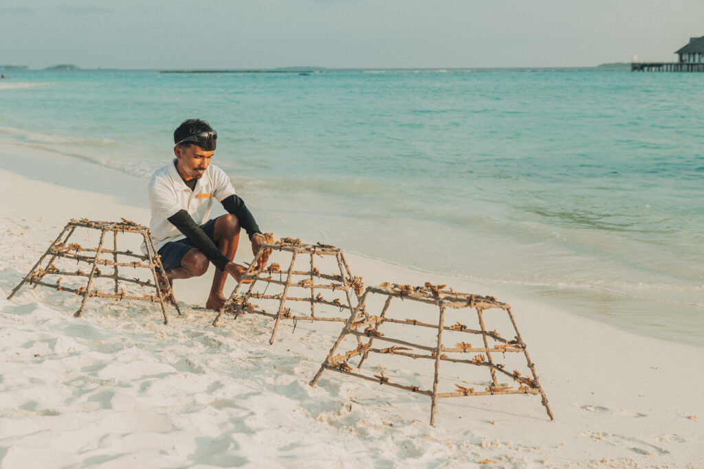 SSIF_Coral Planting_Marine Biologist_