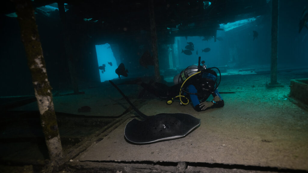 SW wreck jpg-36